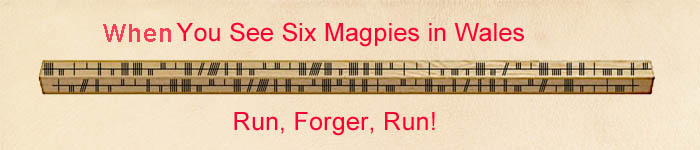 When You See Six Magpies In Wales: Run, Forger, Run! � Banner